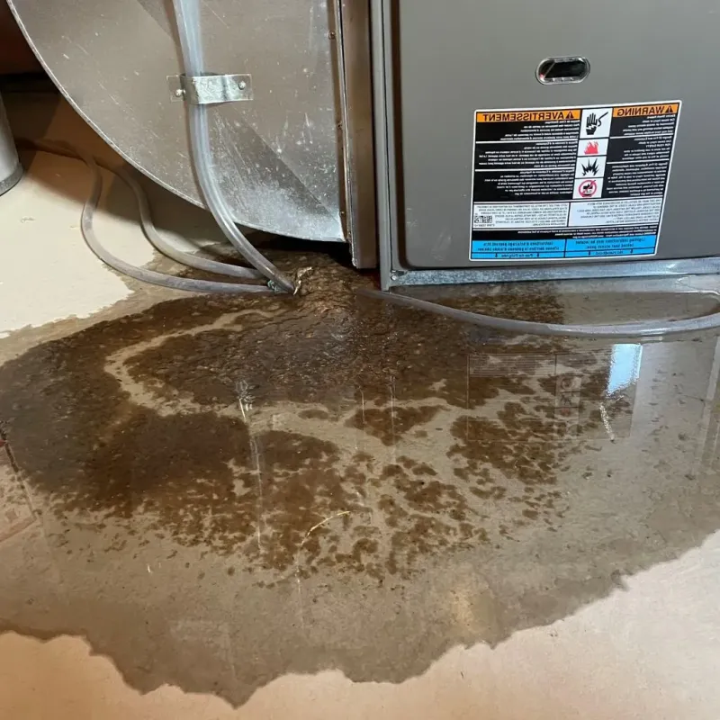 Pipe Burst and Leak Restoration in Brewer, ME